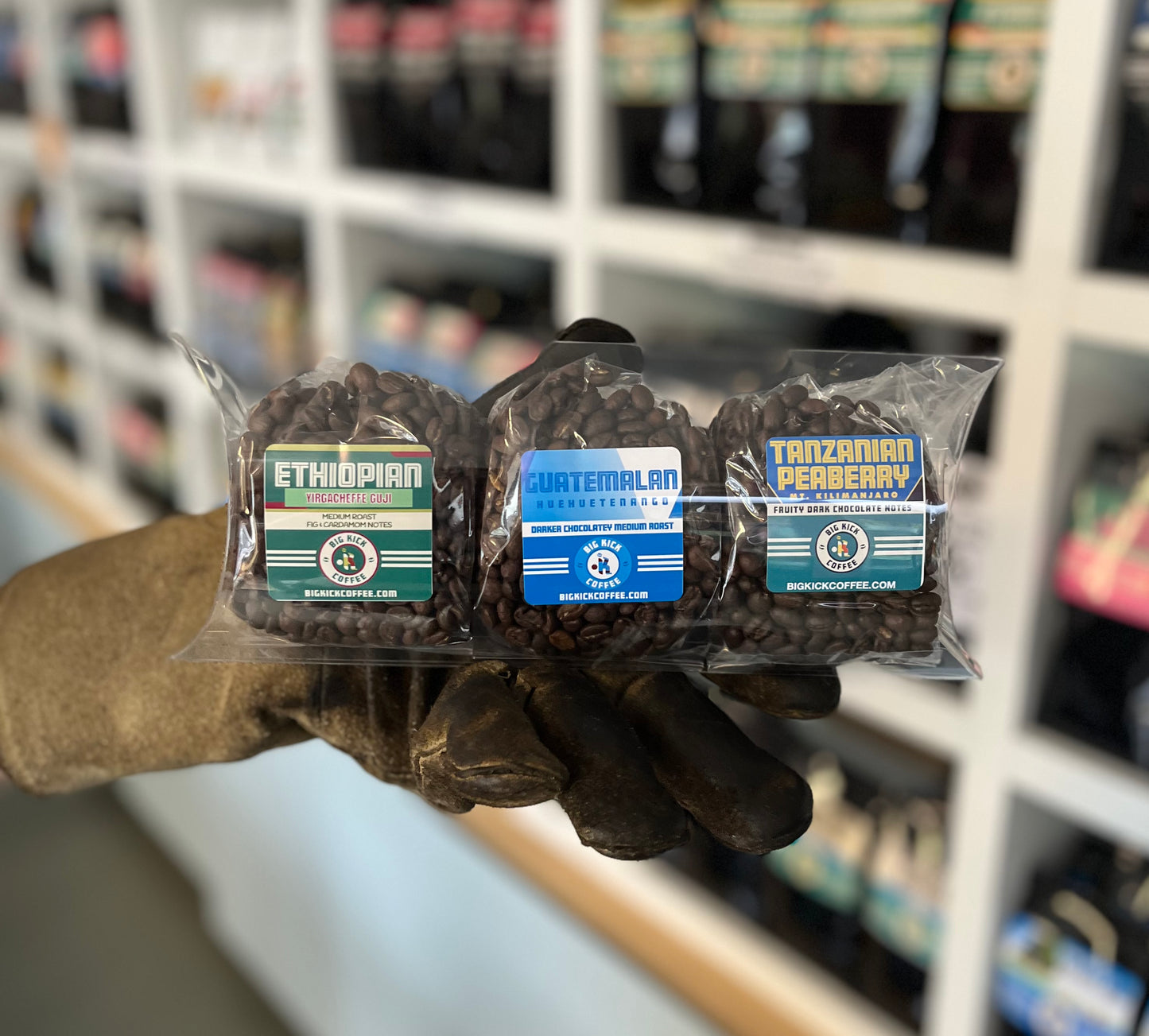 Big Kick Coffee Sampler - Medium Roast