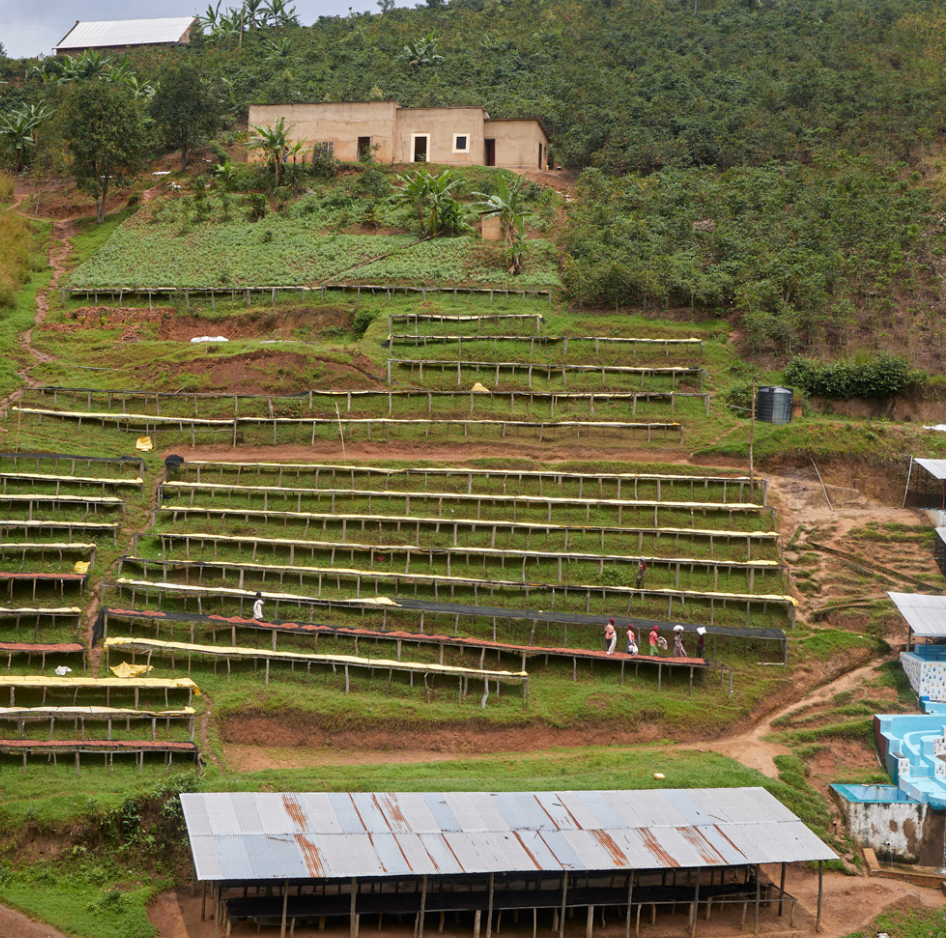 Rwandan